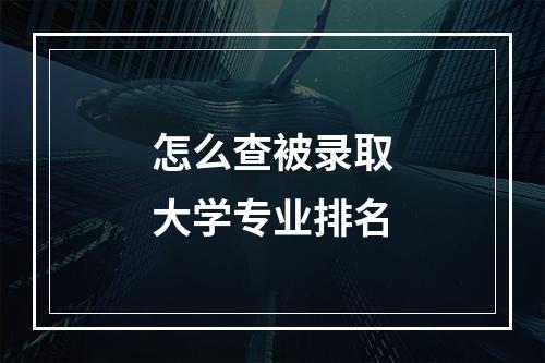 怎么查被录取大学专业排名