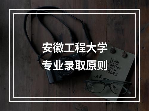 安徽工程大学专业录取原则