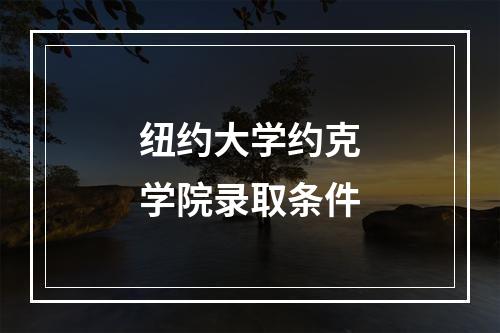 纽约大学约克学院录取条件