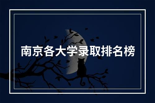 南京各大学录取排名榜