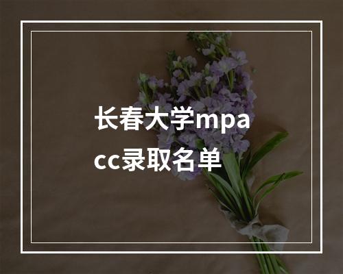 长春大学mpacc录取名单