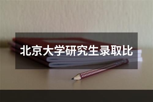 北京大学研究生录取比