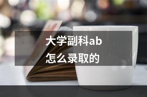 大学副科ab怎么录取的