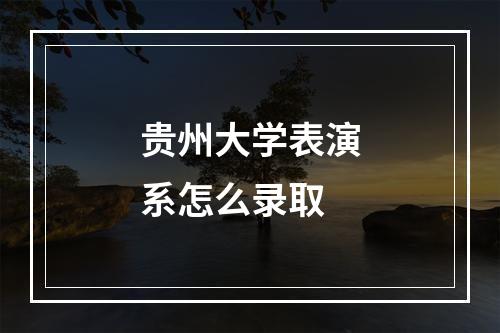 贵州大学表演系怎么录取