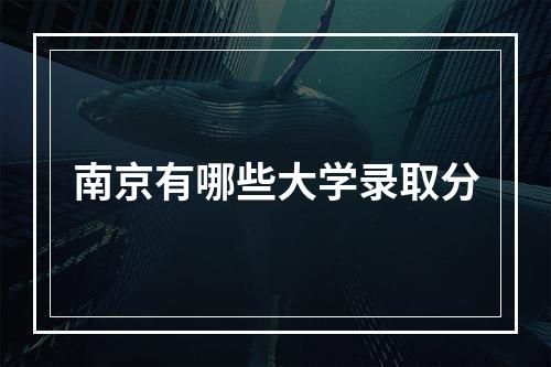 南京有哪些大学录取分