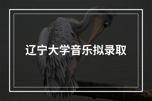 辽宁大学音乐拟录取