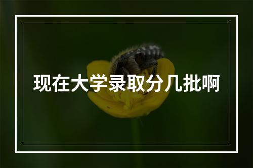 现在大学录取分几批啊