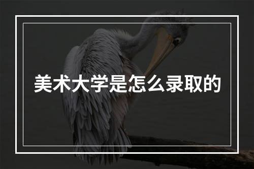 美术大学是怎么录取的