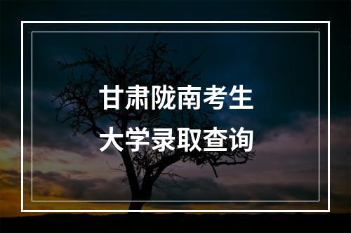 甘肃陇南考生大学录取查询