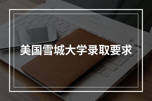 美国雪城大学录取要求