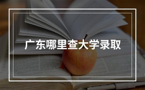 广东哪里查大学录取