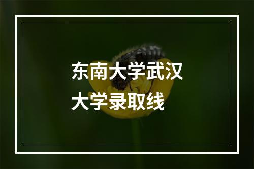 东南大学武汉大学录取线