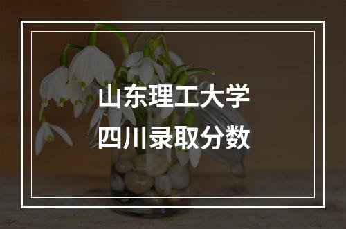 山东理工大学四川录取分数