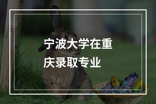 宁波大学在重庆录取专业