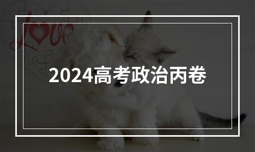 2024高考政治丙卷