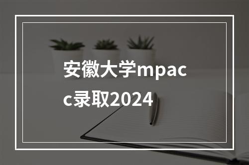 安徽大学mpacc录取2024