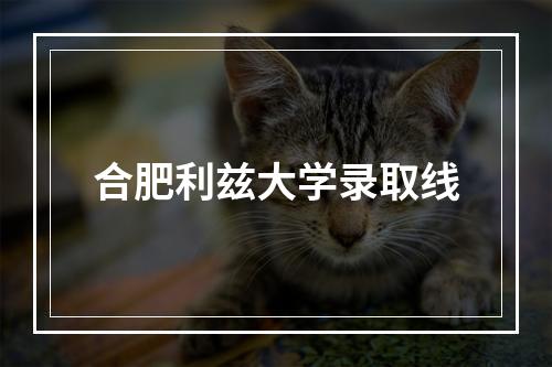 合肥利兹大学录取线