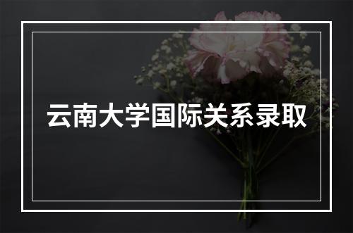 云南大学国际关系录取