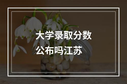 大学录取分数公布吗江苏