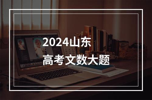 2024山东高考文数大题