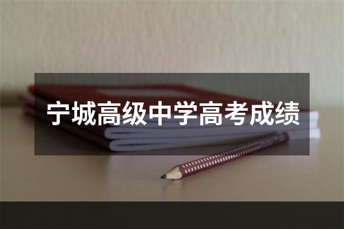 宁城高级中学高考成绩