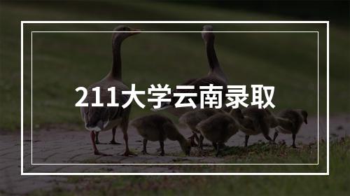 211大学云南录取