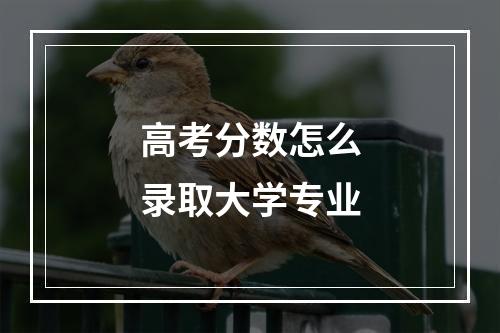 高考分数怎么录取大学专业