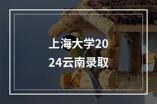 上海大学2024云南录取