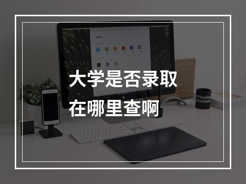 大学是否录取在哪里查啊