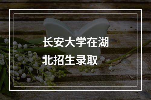 长安大学在湖北招生录取