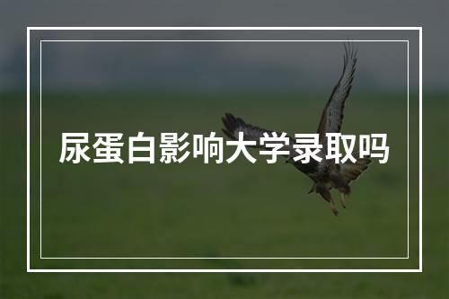 尿蛋白影响大学录取吗