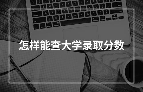 怎样能查大学录取分数