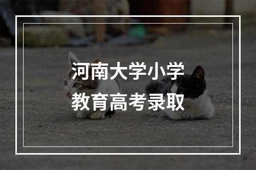 河南大学小学教育高考录取