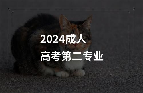 2024成人高考第二专业