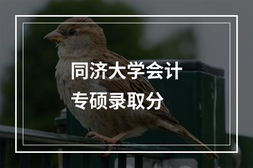 同济大学会计专硕录取分