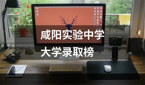 咸阳实验中学大学录取榜