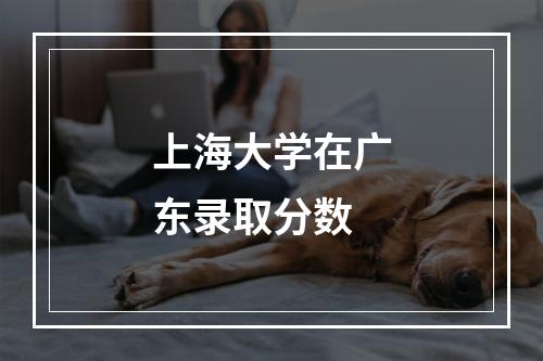 上海大学在广东录取分数