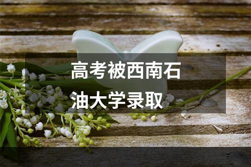 高考被西南石油大学录取