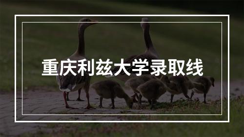 重庆利兹大学录取线