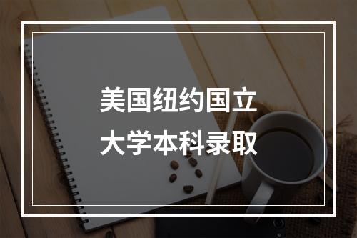 美国纽约国立大学本科录取