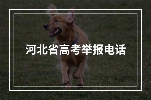 河北省高考举报电话