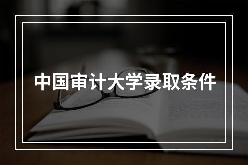 中国审计大学录取条件