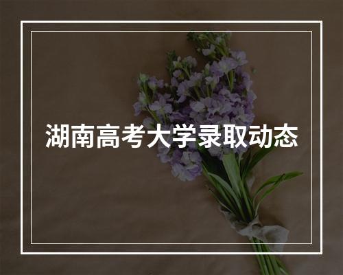 湖南高考大学录取动态