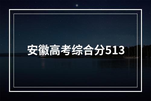 安徽高考综合分513