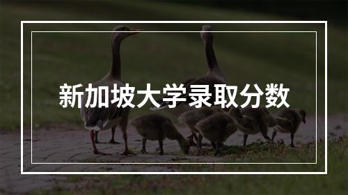 新加坡大学录取分数