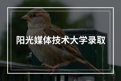 阳光媒体技术大学录取