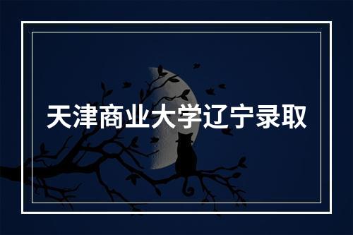 天津商业大学辽宁录取