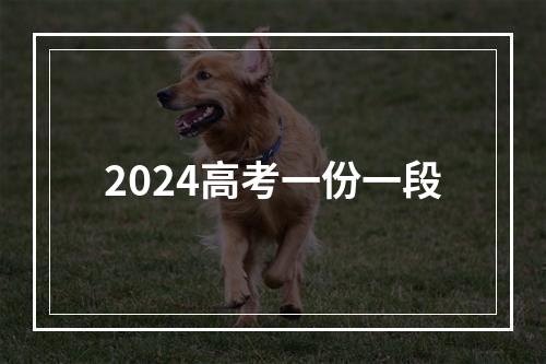 2024高考一份一段