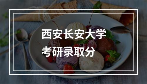 西安长安大学考研录取分