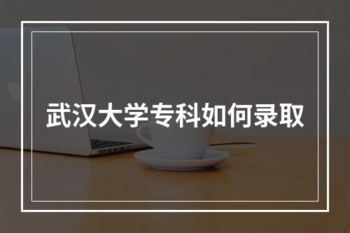 武汉大学专科如何录取